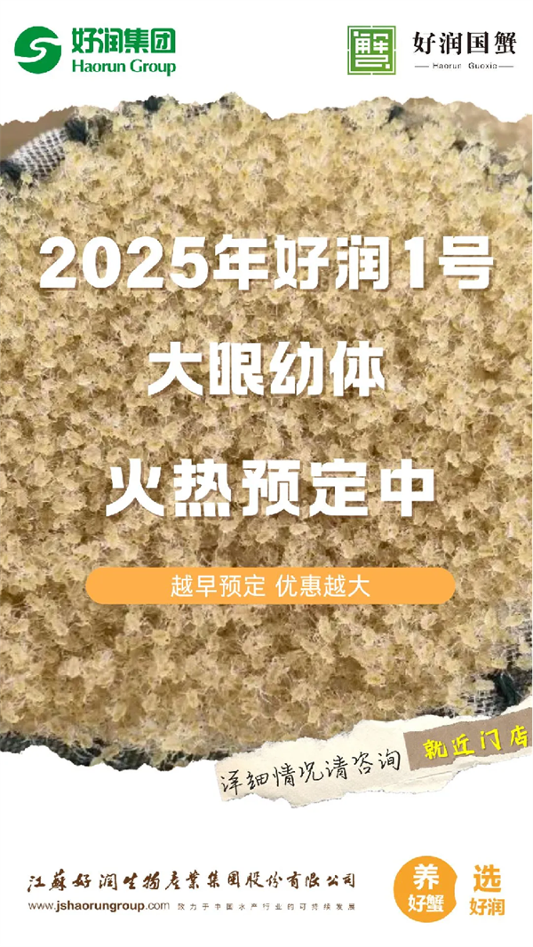 【好润国蟹】2025年“好润1号”大眼幼体火热