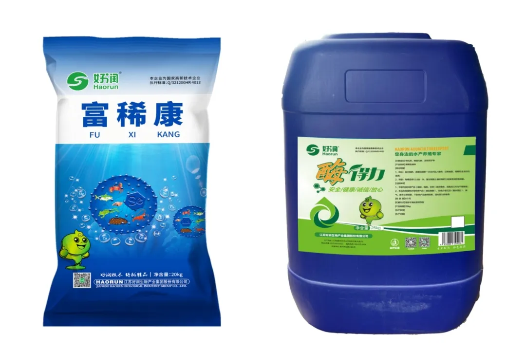 梅雨季河蟹养殖“双保险”：好润富稀康×酶得力破解死蟹、烂草、水变魔咒！