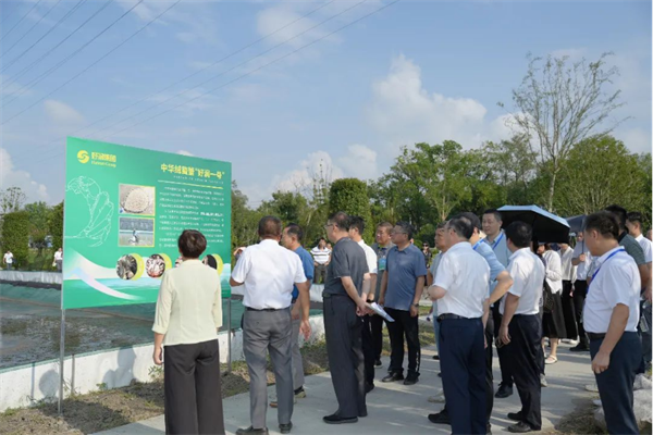 【集团简讯】全国农技协组织振兴交流观摩活动代表团莅临好润集团352