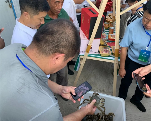 【集团简讯】全国农技协组织振兴交流观摩活动代表团莅临好润集团448