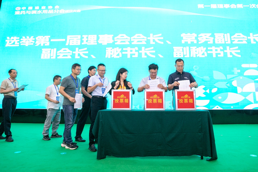 图片11