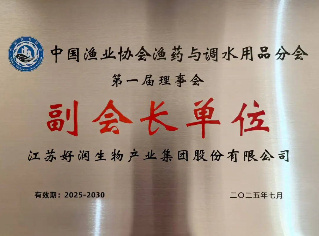 图片13